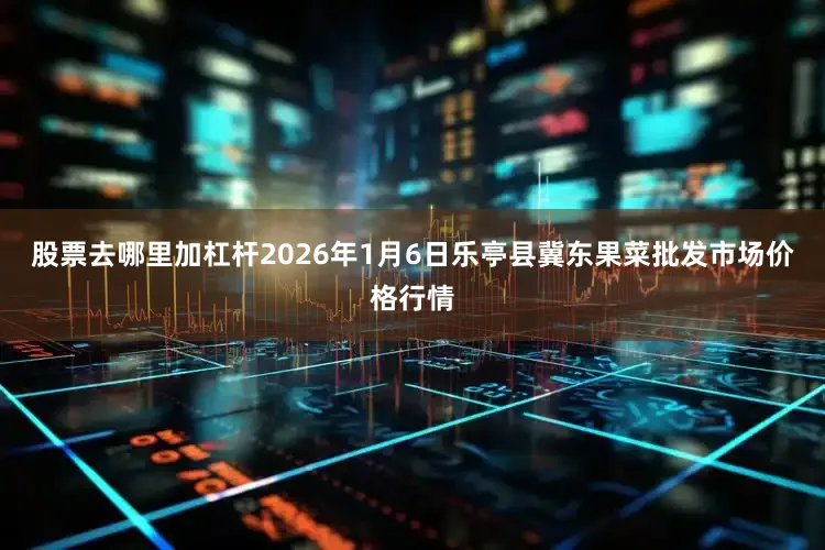 股票去哪里加杠杆2026年1月6日乐亭县冀东果菜批发市场价格行情