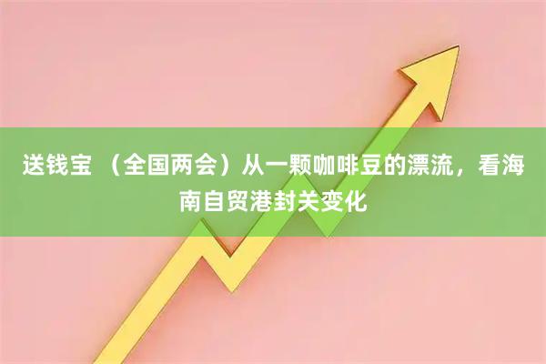 送钱宝 （全国两会）从一颗咖啡豆的漂流，看海南自贸港封关变化