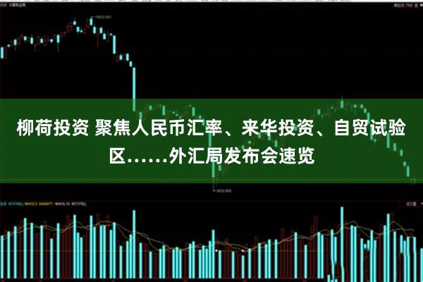 柳荷投资 聚焦人民币汇率、来华投资、自贸试验区……外汇局发布会速览