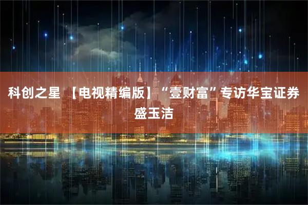 科创之星 【电视精编版】“壹财富”专访华宝证券盛玉洁
