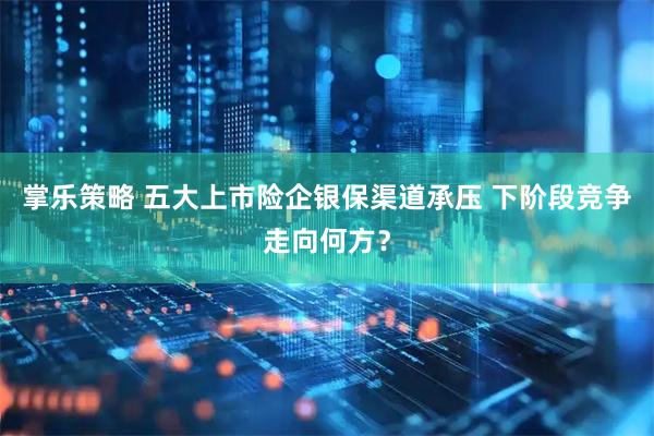 掌乐策略 五大上市险企银保渠道承压 下阶段竞争走向何方？